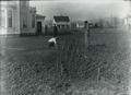 OAC students gardening in front of the Wilson House