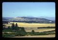Farm near Palestine Hill, North Albany, Oregon, circa 1973
