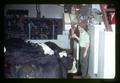 Auctioneering at Madras Livestock Auction, Madras, Oregon, February 1972