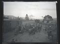 Crowd viewing elk loaded in a boxcar