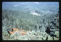 Forest view from Marys Peak, Oregon, circa 1965