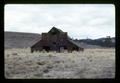 Old stage coach barn, Wheeler County, Oregon, circa 1973