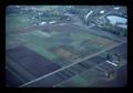 Aerial view of East Farm, Oregon State University, Corvallis, Oregon 1975
