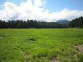 Fish Lake Guard Station (Mckenzie Bridge, Oregon)