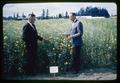 Dr. J. Ritchie Cowan and Dr. Wilbur T. Cooney with golden rape plants, circa 1965