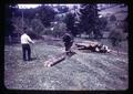 Henry Clay horse logging, Benton County, Oregon, 1956