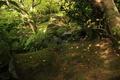 Portland Japanese Garden (Portland, Oregon)