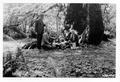 E. A. Sherman, C. J. Buck, Ralph Shelley eating near a large tree. Forest vegetation.