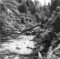 Clearing debris on Lutsinger Creek