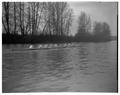 Beaver crew working out on the Willamette River