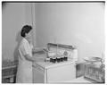 Student working in a Home Economics nutrition lab, January 1958