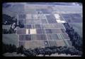 Aerial view of vegetable farm at Oregon State University, Corvallis, Oregon, circa 1970