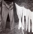 Clothes drying on clothesline