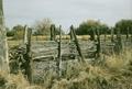 P Ranch. Fence (Frenchglen, Oregon)