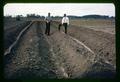 Dr. Horace B. Cheney and Dr. J. Richie Cowan at drainage experiments on Jackson Farm, circa 1964