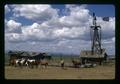 Horses by windmill at Harrison ranch, near Fort Rock, Lake County, Oregon, circa 1972