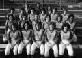 1982 softball team