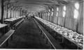 CCC mess hall