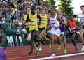 Edward Cheserek, Eric Jenkins & Will Geoghegan, 2015