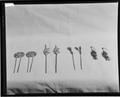 Earrings, Hairpin, Hairpin, Hairpin, Hairpin [and two unidentified pieces]