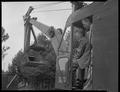 Dick Adams and Otto Meyer take over as the first shovelful of dirt is lifted on the heating system job, July 1951