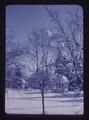 Snow on tree and band stand, Oregon State College, circa 1948