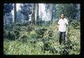 Dr. Samang with tea planting, northern Thailand, 1960