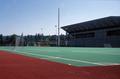 Hayward Field, University of Oregon (Eugene, Oregon)