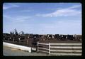 Beef City feedlot near Hermiston and Hinkley, Oregon, circa 1970