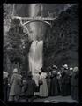 People viewing Multnomah Falls