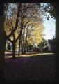 Autumn leaves on NW 32nd by Schultz home, Corvallis, Oregon, November 1975