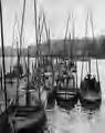 2162 Newport Fishing Boats 1953