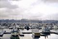 Harbor (Astoria, Oregon)