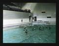 Women's pool