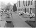 Memorial Union patio, Spring 1961