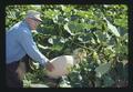 Mr. Hyman with squash, Corvallis, Oregon, 1974