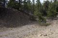 Army Corps of Engineers Road System (Crater Lake, Oregon)