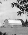 Dairy barn, Mt. Angel, Oregon, May 1951