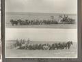 Harvesting on the Arthur Smith Place, Moro - 1916