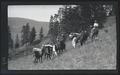 Pack train through the Wallowas