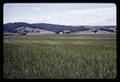 Farms near Sheridan, Oregon, 1965