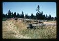 Rail fence near Tigard, Oregon, circa 1973