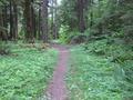 Santiam Wagon Road (Sisters, Oregon)