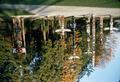 Totem Park, Stanley Park (Vancouver, British Columbia)