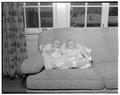 Home management house "practice babies" Gordie and Frankie, October 1951