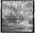 Storm damage of the "Big Blow", October 12, 1962