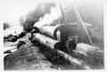 Trainload of logs