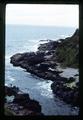 Cape Perpetua, Oregon, May 1972