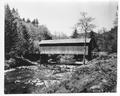 Covered bridge (6)