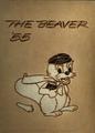The Beaver 1955